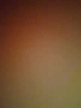 Snapshot of mendelicius chatting on February 2025 06:09:02 PM mendelicius online show from February 2025 06:09:02 PM