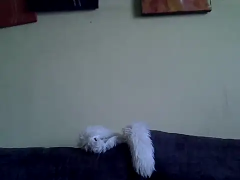 Delicious-D online show from February 2026 04:49:02 AM