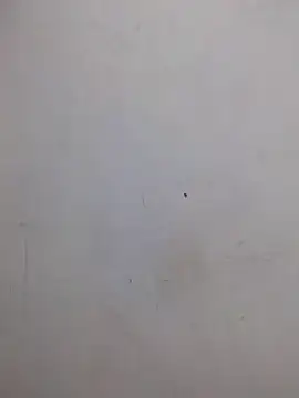 Snapshot of AmnionicDemeanor chatting on October 2025 04:24:02 AM AmnionicDemeanor online show from October 2025 04:24:02 AM