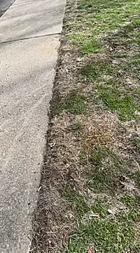 Esauhot online show from February 2025 07:03:02 PM