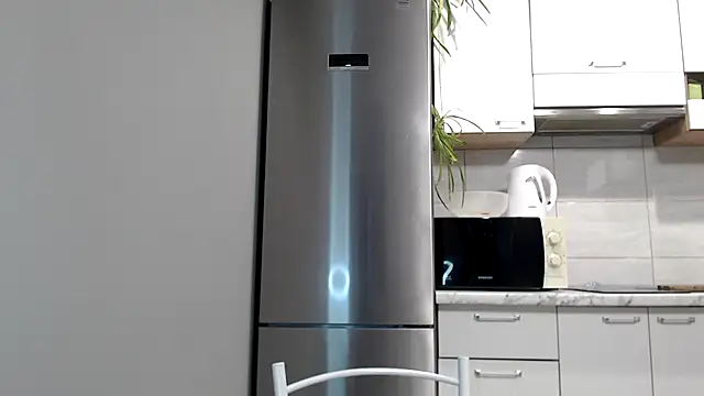 Snapshot of SierraSky_ chatting on February 2025 06:31:02 PM SierraSky online show from February 2025 06:31:02 PM