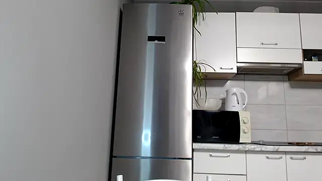 Snapshot of SierraSky_ chatting on February 2025 06:12:01 PM SierraSky online show from February 2025 06:12:01 PM