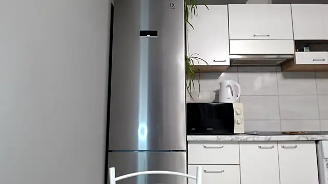 Snapshot of SierraSky_ chatting on March 2025 06:07:01 PM SierraSky online show from March 2025 06:07:01 PM