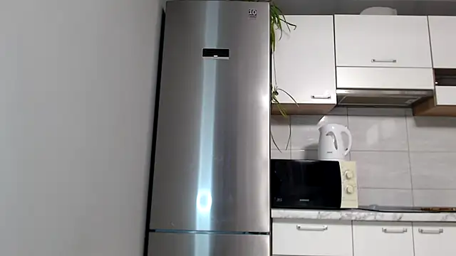 Snapshot of SierraSky_ chatting on October 2025 05:13:01 PM SierraSky online show from October 2025 05:13:01 PM