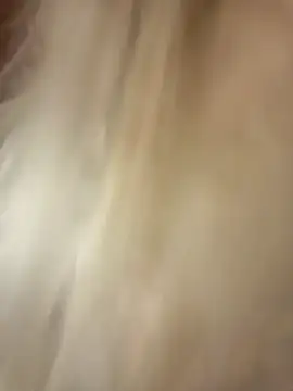 -RIVIERA- online show from February 2025 04:35:02 PM