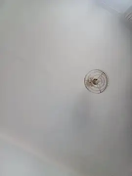 katymojadit online show from January 2025 03:28:02 PM