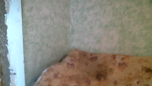 Snapshot of DennisXCaroll chatting on April 2026 10:14:02 AM DennisXCaroll online show from April 2026 10:14:02 AM