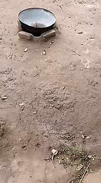 hairipussy2 online show from February 2025 10:59:01 AM