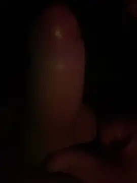 Danilo 2017 online show from November 2025 09:59:02 PM