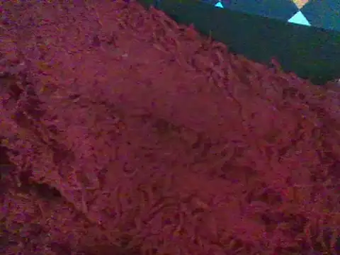 RoxiRedXXX online show from January 2025 06:12:02 PM