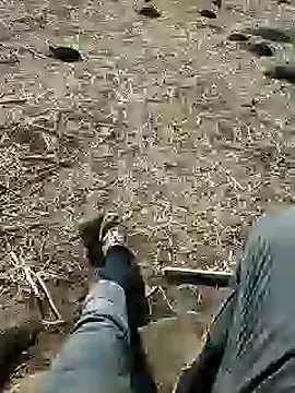 Snapshot of murokkk31 chatting on December 2024 08:38:02 AM murokkk31 online show from December 2024 08:38:02 AM