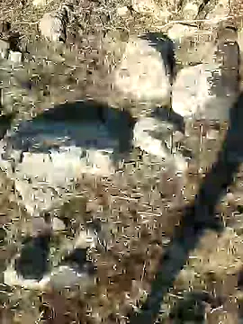 Snapshot of murokkk31 chatting on December 2024 08:39:02 AM murokkk31 online show from December 2024 08:39:02 AM