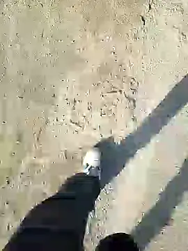 Snapshot of murokkk31 chatting on December 2024 11:20:02 AM murokkk31 online show from December 2024 11:20:02 AM