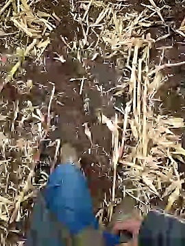 Snapshot of murokkk31 chatting on January 2025 06:46:01 AM murokkk31 online show from January 2025 06:46:01 AM