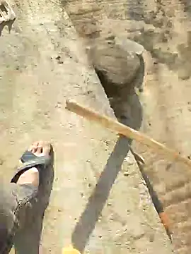 Snapshot of murokkk31 chatting on January 2025 11:43:02 AM murokkk31 online show from January 2025 11:43:02 AM