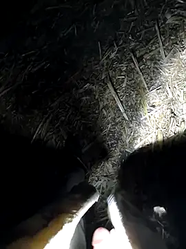 Snapshot of murokkk31 chatting on September 2025 07:15:02 PM murokkk31 online show from September 2025 07:15:02 PM