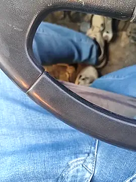 murokkk31 online show from January 2026 08:27:01 AM