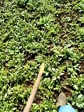 murokkk31 online show from April 2026 06:25:02 AM