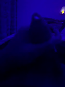 thecockybouy online show from March 2025 01:36:02 AM