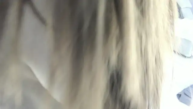 Snapshot of celestica_rose chatting on February 2026 10:30:01 PM celestica rose online show from February 2026 10:30:01 PM