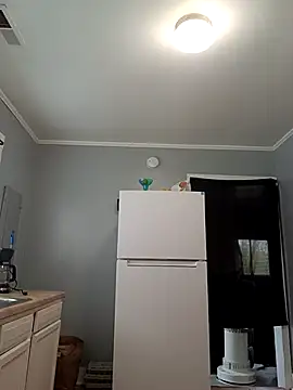 Snapshot of T92bbc chatting on March 2026 02:10:02 PM T92bbc online show from March 2026 02:10:02 PM