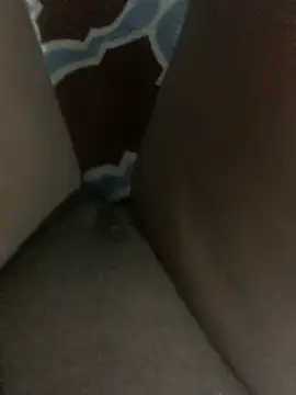 Snapshot of WyvaxxNikkie chatting on January 2025 05:31:02 PM WyvaxxNikkie online show from January 2025 05:31:02 PM