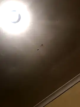 Snapshot of SmallGoodNut chatting on November 2025 04:10:02 AM SmallGoodNut online show from November 2025 04:10:02 AM