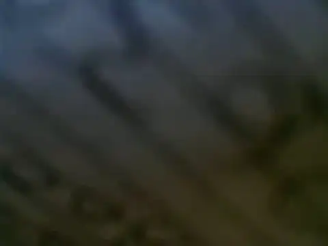 WHITEDAROSE online show from March 2025 07:17:01 PM