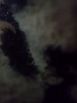 hotie7tvn online show from October 2025 01:04:02 AM