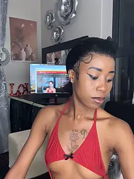 Snapshot of Dime-__ chatting on September 2025 11:59:01 PM Dime- online show from September 2025 11:59:01 PM