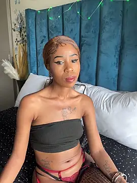 Snapshot of Dime-__ chatting on November 2025 12:38:02 PM Dime- online show from November 2025 12:38:02 PM