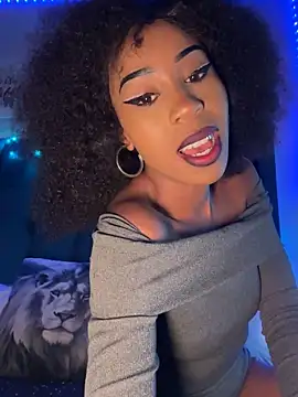 Snapshot of Dime-__ chatting on November 2025 03:33:02 PM Dime- online show from November 2025 03:33:02 PM