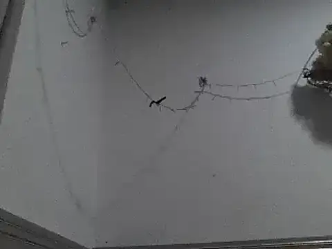 Snapshot of pedrodavid_ chatting on December 2024 12:18:01 AM pedrodavid online show from December 2024 12:18:01 AM