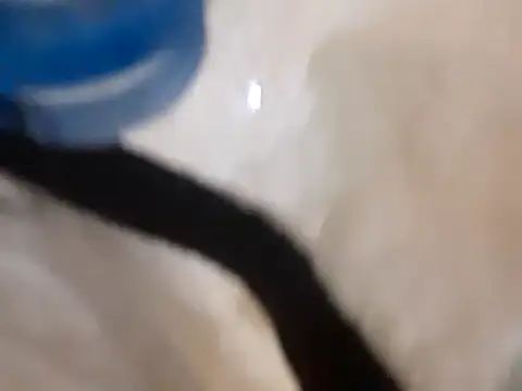 Snapshot of pedrodavid_ chatting on March 2025 12:10:01 AM pedrodavid online show from March 2025 12:10:01 AM