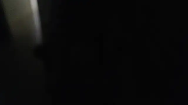 Snapshot of joeydee1 chatting on December 2024 07:21:01 PM joeydee1 online show from December 2024 07:21:01 PM