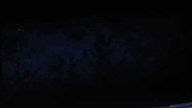 Snapshot of joeydee1 chatting on February 2025 02:04:02 PM joeydee1 online show from February 2025 02:04:02 PM