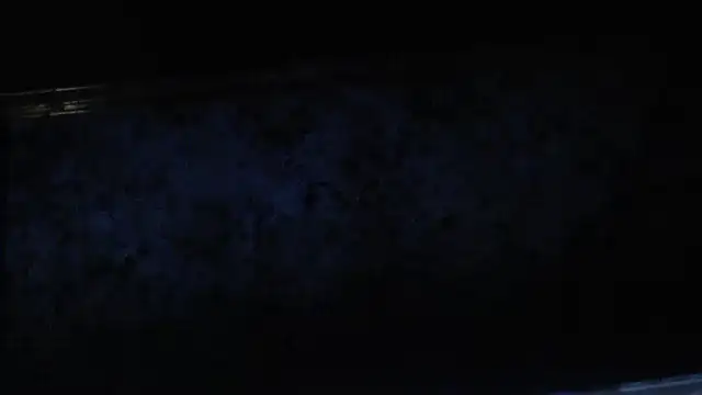 Snapshot of joeydee1 chatting on February 2025 11:20:02 PM joeydee1 online show from February 2025 11:20:02 PM