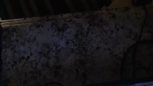 Snapshot of joeydee1 chatting on February 2025 03:06:02 AM joeydee1 online show from February 2025 03:06:02 AM