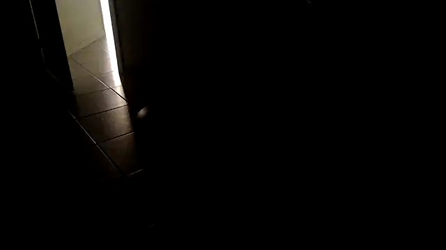 Snapshot of joeydee1 chatting on March 2025 04:28:02 PM joeydee1 online show from March 2025 04:28:02 PM