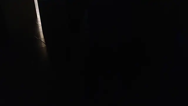 Snapshot of joeydee1 chatting on March 2025 11:29:02 AM joeydee1 online show from March 2025 11:29:02 AM