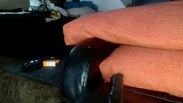 Snapshot of Gigadickman chatting on December 2024 01:02:01 PM Gigadickman online show from December 2024 01:02:01 PM