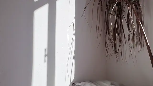 Snapshot of my_lina chatting on October 2025 06:27:02 AM my lina online show from October 2025 06:27:02 AM