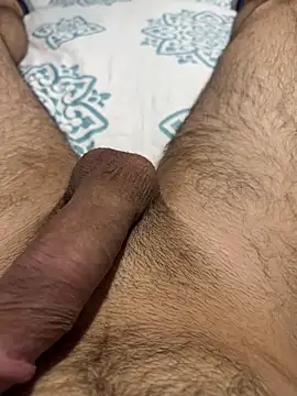 Wolff77 online show from December 2024 01:36:01 AM