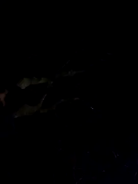 Snapshot of Wildherb244 chatting on December 2024 01:36:02 AM Wildherb244 online show from December 2024 01:36:02 AM