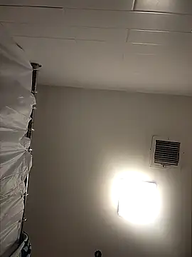 Snapshot of Wildherb244 chatting on December 2024 08:41:01 AM Wildherb244 online show from December 2024 08:41:01 AM