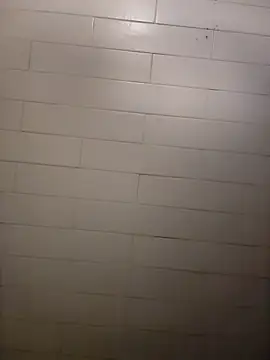 Snapshot of Wildherb244 chatting on December 2024 02:26:02 PM Wildherb244 online show from December 2024 02:26:02 PM