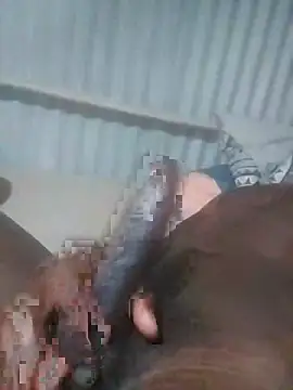 advocate2 online show from November 2025 06:13:01 AM