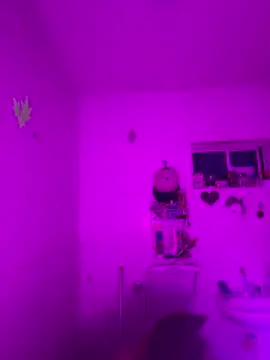 Snapshot of mia_foxts chatting on November 2025 12:31:01 AM mia foxts online show from November 2025 12:31:01 AM