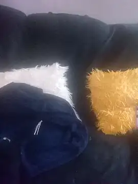 Snapshot of amarrabrown2024 chatting on March 2025 07:13:02 AM amarrabrown2024 online show from March 2025 07:13:02 AM