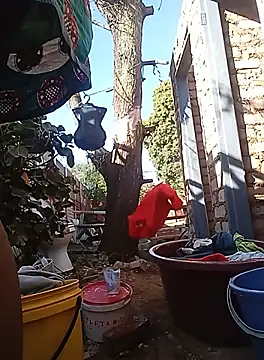 Snapshot of amarrabrown2024 chatting on September 2025 06:04:01 AM amarrabrown2024 online show from September 2025 06:04:01 AM